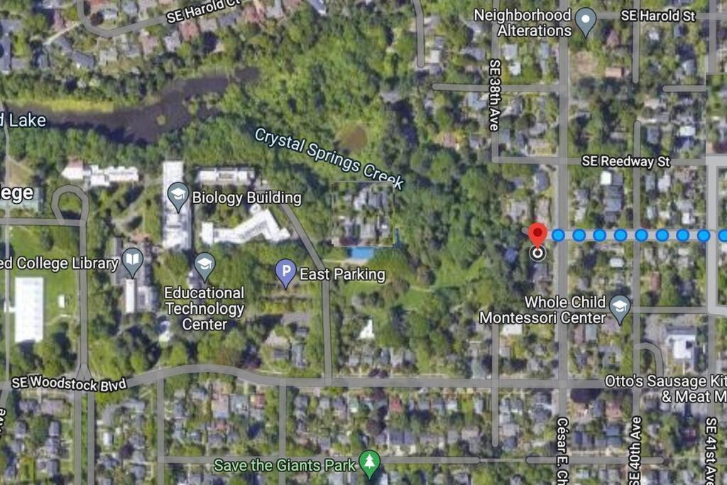 Heart Of Woodstock, 10 Min Walk To Reed, With Private Garage! Lejlighed Portland Eksteriør billede