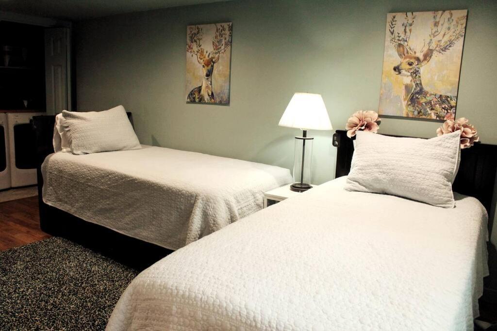 Heart Of Woodstock, 10 Min Walk To Reed, With Private Garage! Lejlighed Portland Eksteriør billede
