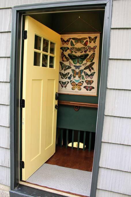 Heart Of Woodstock, 10 Min Walk To Reed, With Private Garage! Lejlighed Portland Eksteriør billede